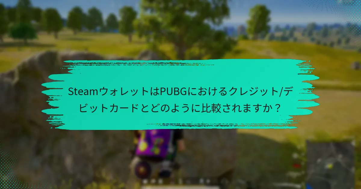 PUBGにおけるSteamウォレットの欠点は何ですか？