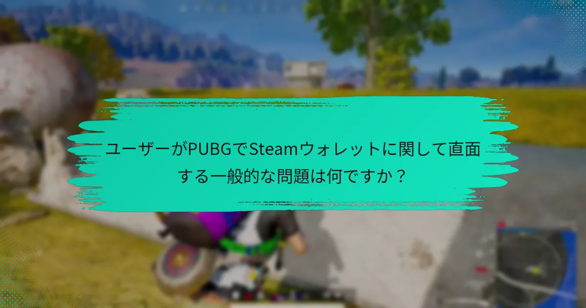 SteamウォレットはPUBGの他の支払い方法とどのように比較されますか？
